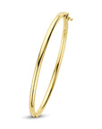 14K Geelgoud Bangle Scharnier Ronde Buis 4020572 - PansiteNederland.nl