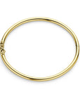 14K Geelgoud Bangle Scharnier Ronde Buis 4020572 - PansiteNederland.nl