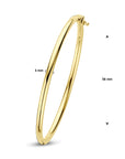 14K Geelgoud Bangle Scharnier Ronde Buis 4020572 - PansiteNederland.nl