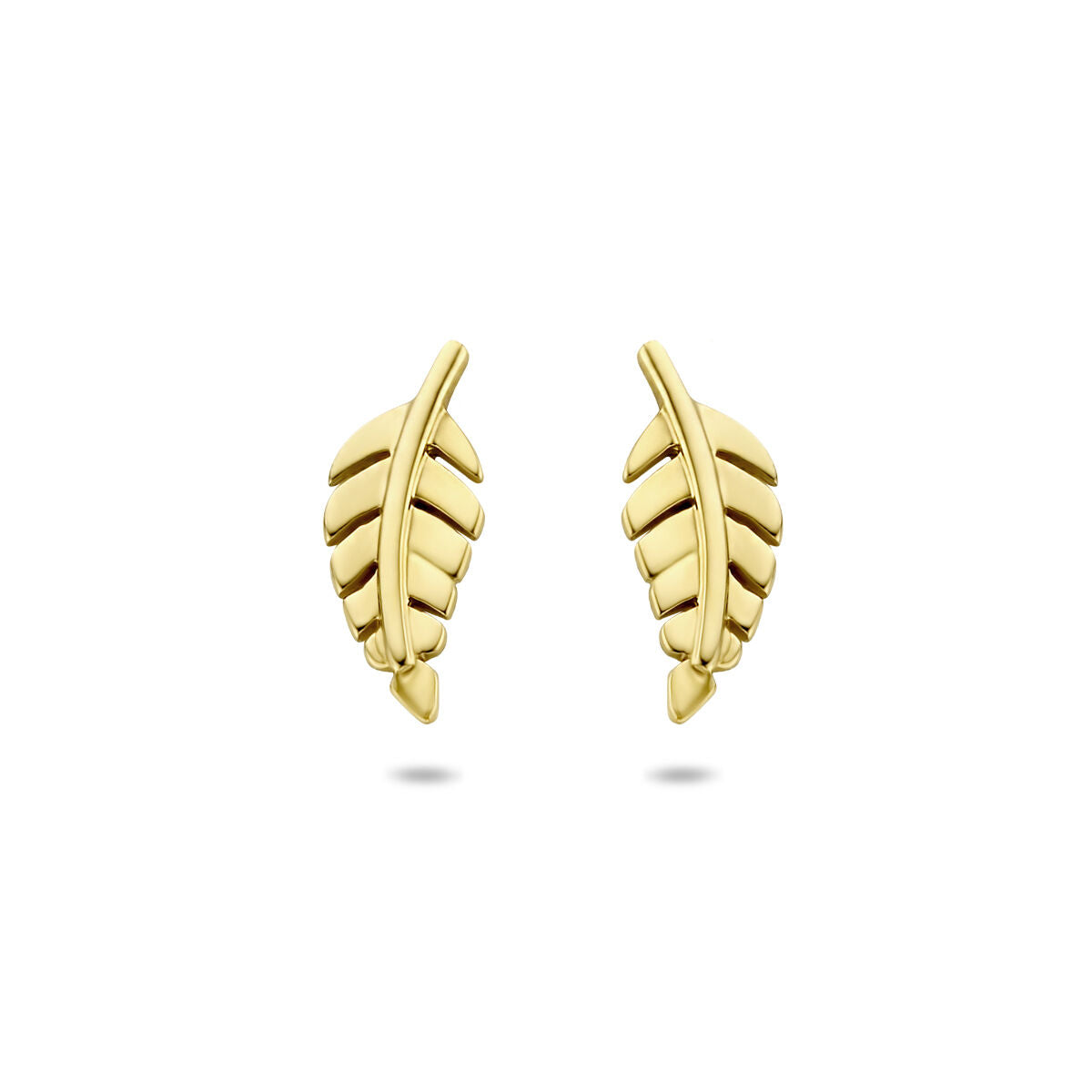 Fantasy Collection Oorbellen veer 8 mm 14K geelgoud