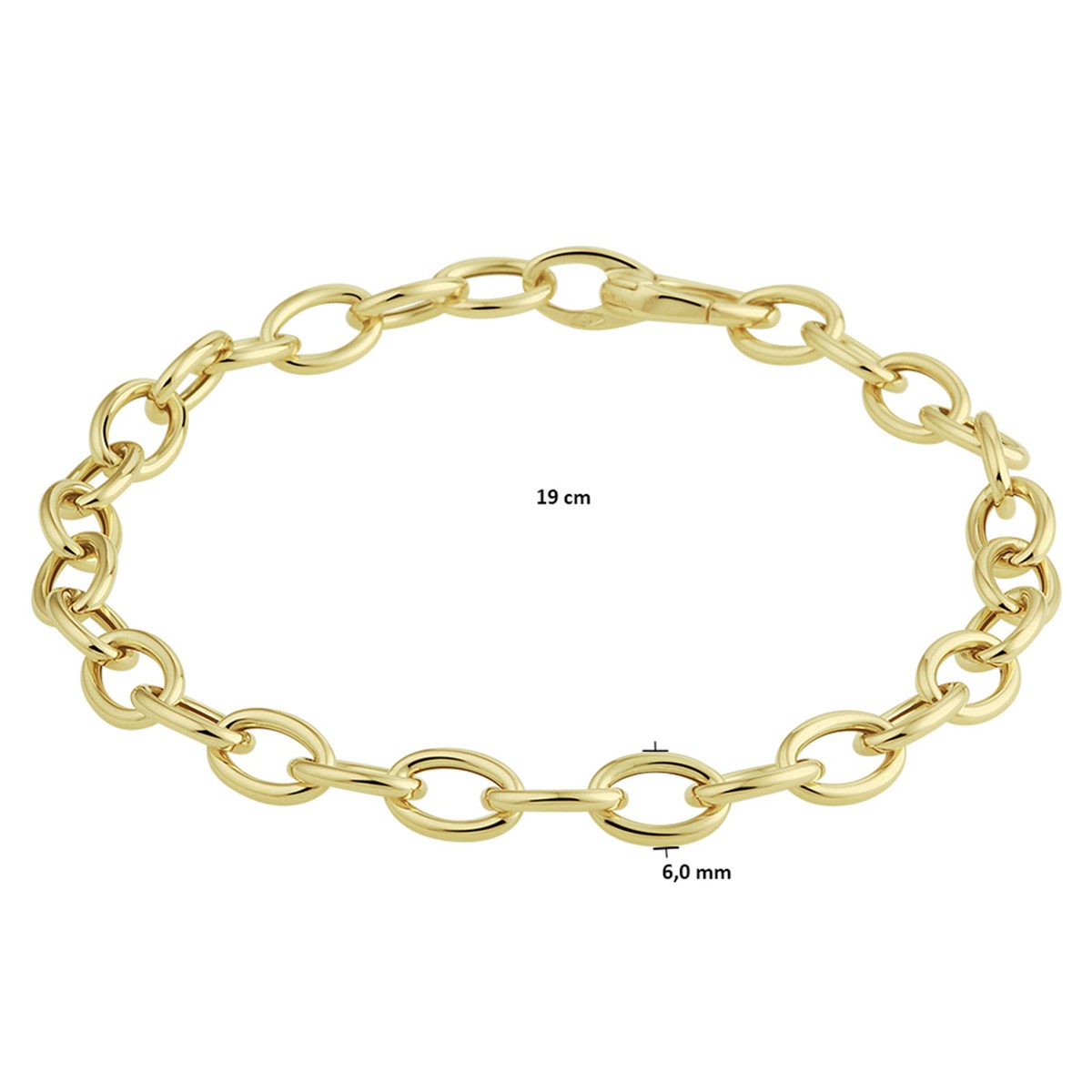 Armband anker 6,0 mm 19 cm 14K geelgoud
