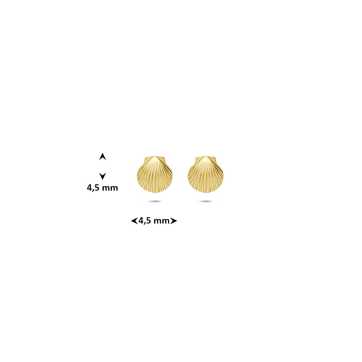 Oorbellen schelp 14K geelgoud
