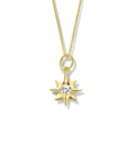 14K geelgoud collier poolster zirkonia 41 - 43 - 45 cm 4023589 - PansiteNederland.nl