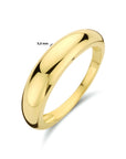 14K Geelgoud Ring 4023733 - PansiteNederland.nl