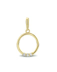 14K geelgoud hanger rond zirkonia 4023841 - PansiteNederland.nl