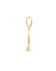 14K geelgoud hanger rond zirkonia 4023841 - PansiteNederland.nl
