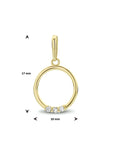 14K geelgoud hanger rond zirkonia 4023841 - PansiteNederland.nl