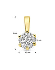 14K geelgoud hanger zirkonia 4023967 - PansiteNederland.nl