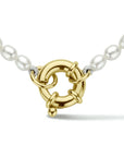 14K geelgoud collier parel 41 cm met groot springslot 4024383 - PansiteNederland.nl