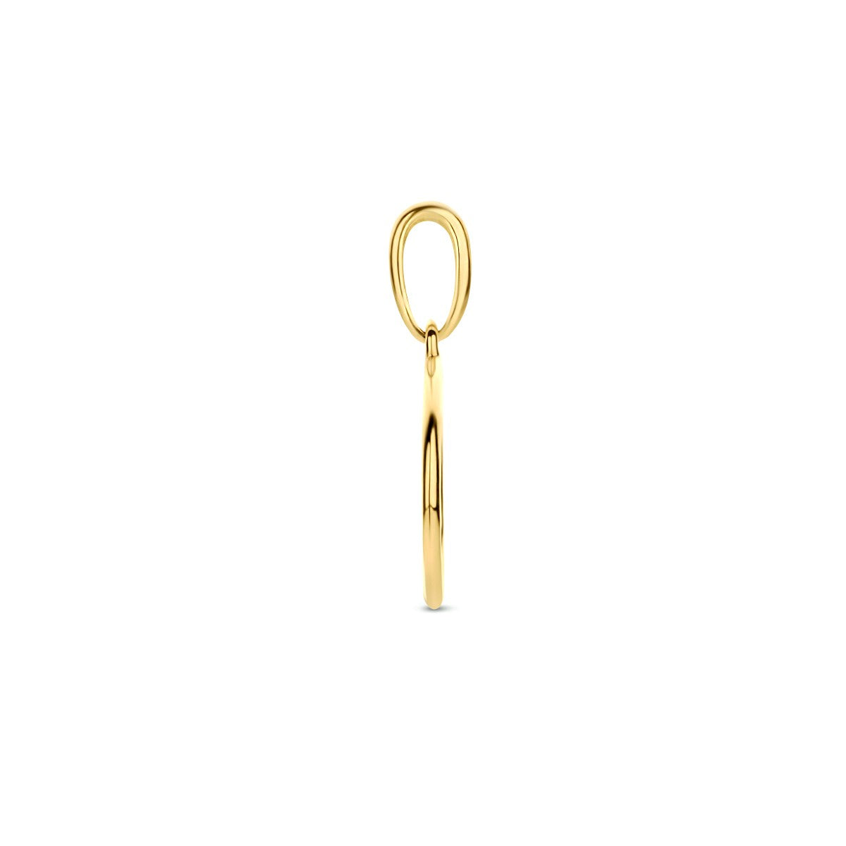 Fantasy Collection Hanger rondje 10 mm 14K geelgoud