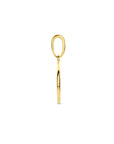 14K geelgoud hanger rondje 4024428 - PansiteNederland.nl