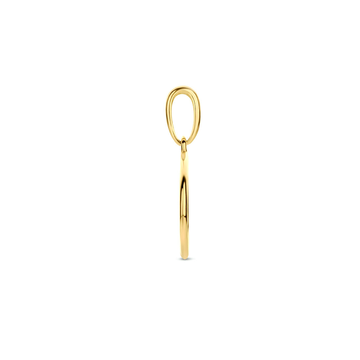 Fantasy Collection Hanger rondje 10 mm 14K geelgoud