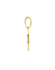 14K geelgoud hanger rondje 4028288 - PansiteNederland.nl