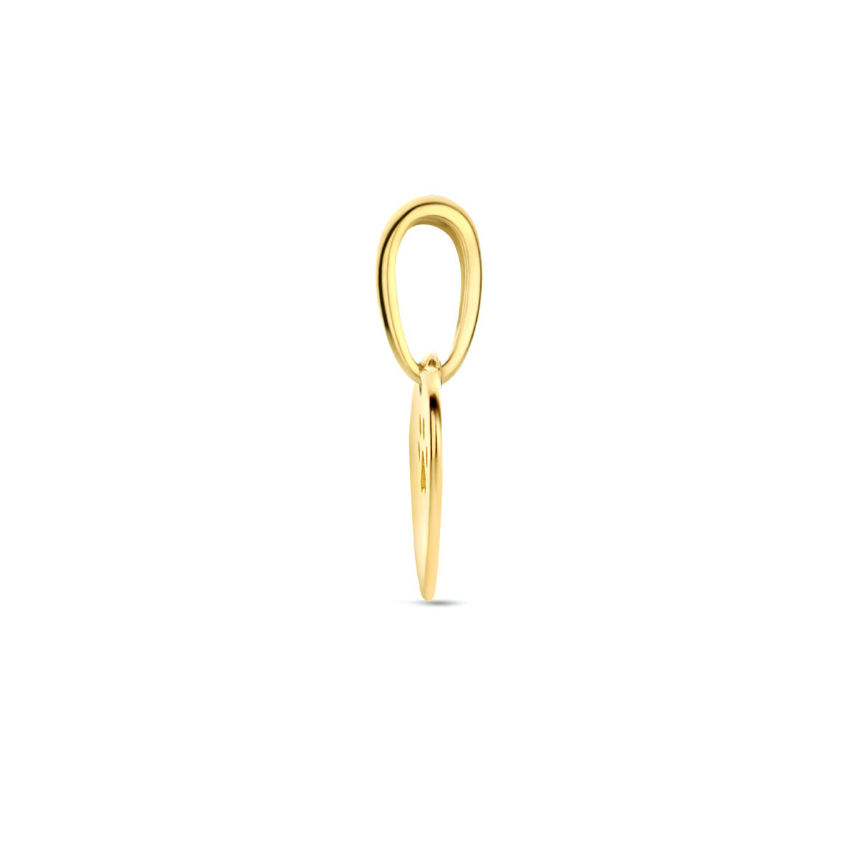 Fantasy Collection Graveerhanger hart hondenpoot 14K geelgoud
