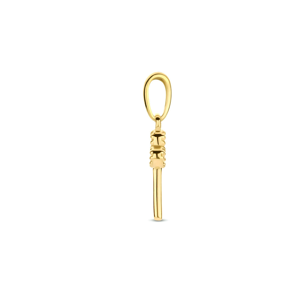 Fantasy Collection Hanger sleutel 14K geelgoud