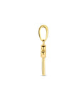 14K geelgoud hanger sleutel 4024441 - PansiteNederland.nl
