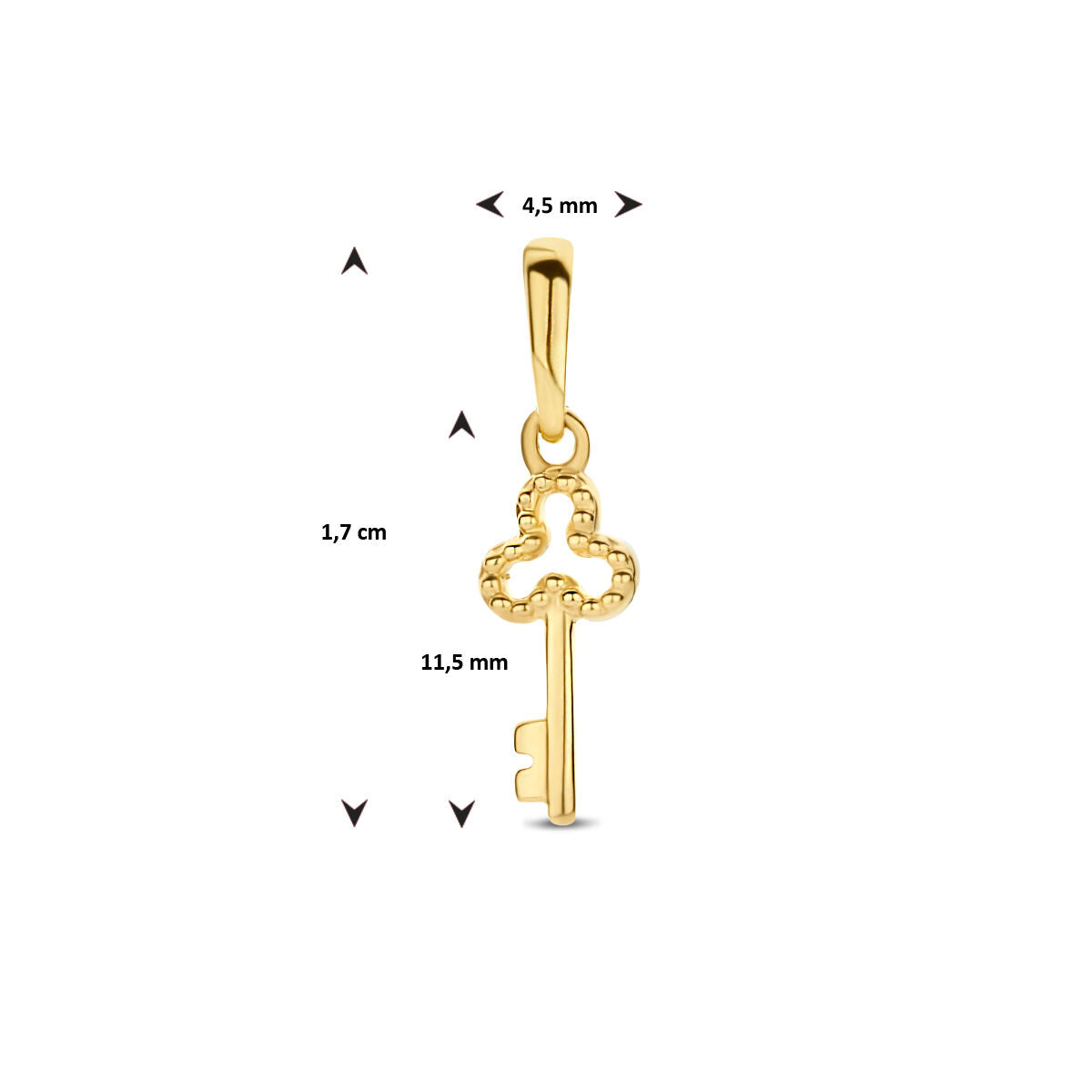 Fantasy Collection Hanger sleutel 14K geelgoud