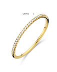 14K Geelgoud Ring Diamant 0.083Ct H Si 4024501 - PansiteNederland.nl