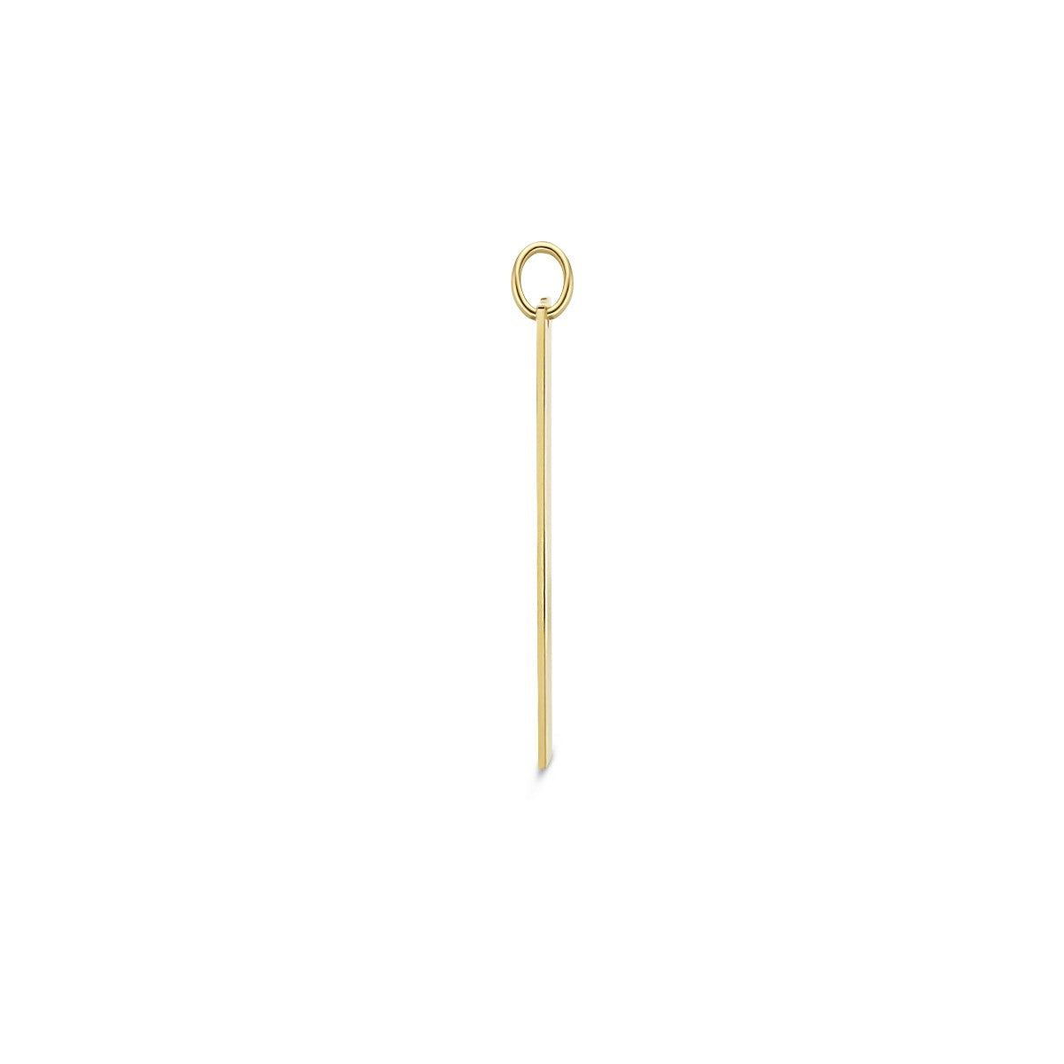 Fantasy Collection Graveerhanger 14K geelgoud
