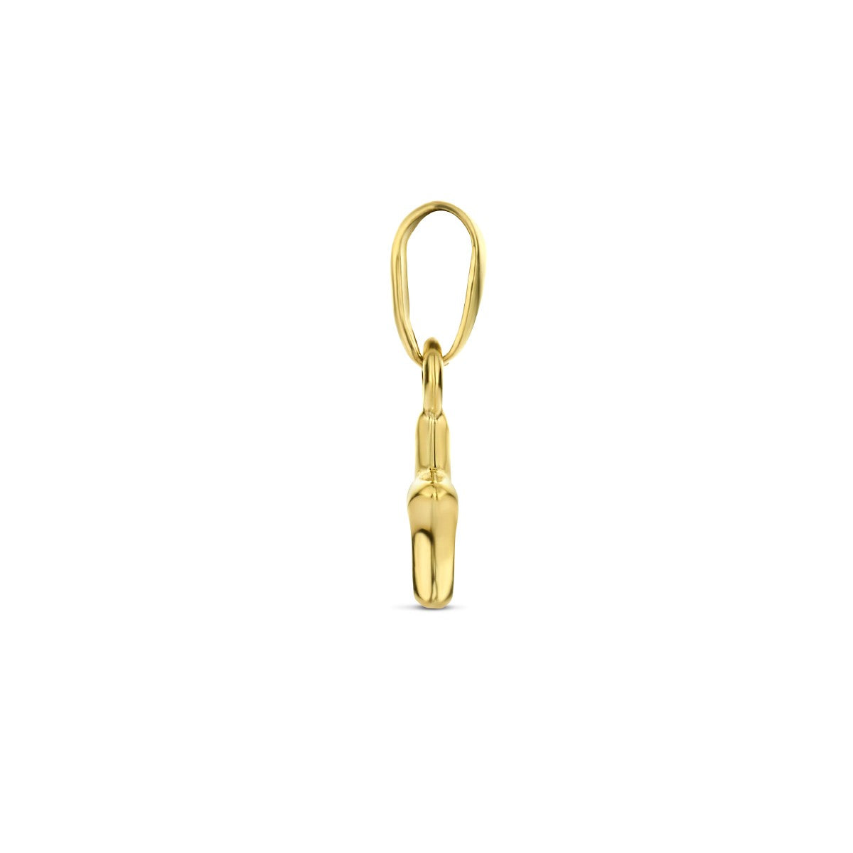 Fantasy Collection Hanger ster 14K geelgoud