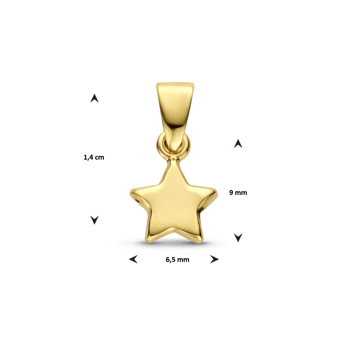 Fantasy Collection Hanger ster 14K geelgoud