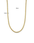 14K geelgoud collier 5,0 mm 45 cm 4025214 - PansiteNederland.nl