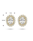 14K Geelgoud Oorknoppen Zirkonia Halo 4025291 - PansiteNederland.nl