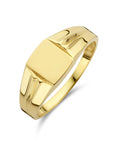 14K Geelgoud Graveerring 4025523 - PansiteNederland.nl