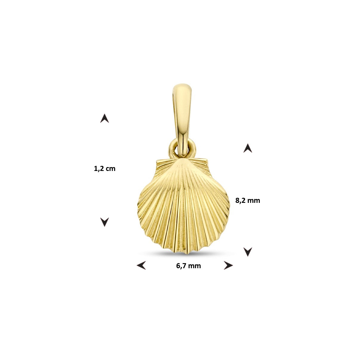 Fantasy Collection Hanger schelp 12 mm 14K geelgoud