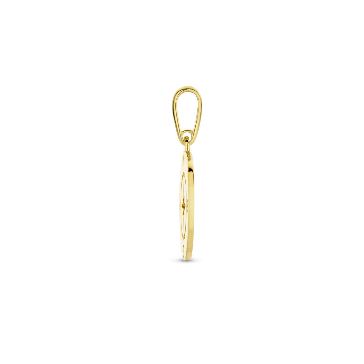 Fantasy Collection Hanger kompas 14K geelgoud