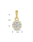 14K geelgoud hanger zirkonia halo 4025933 - PansiteNederland.nl