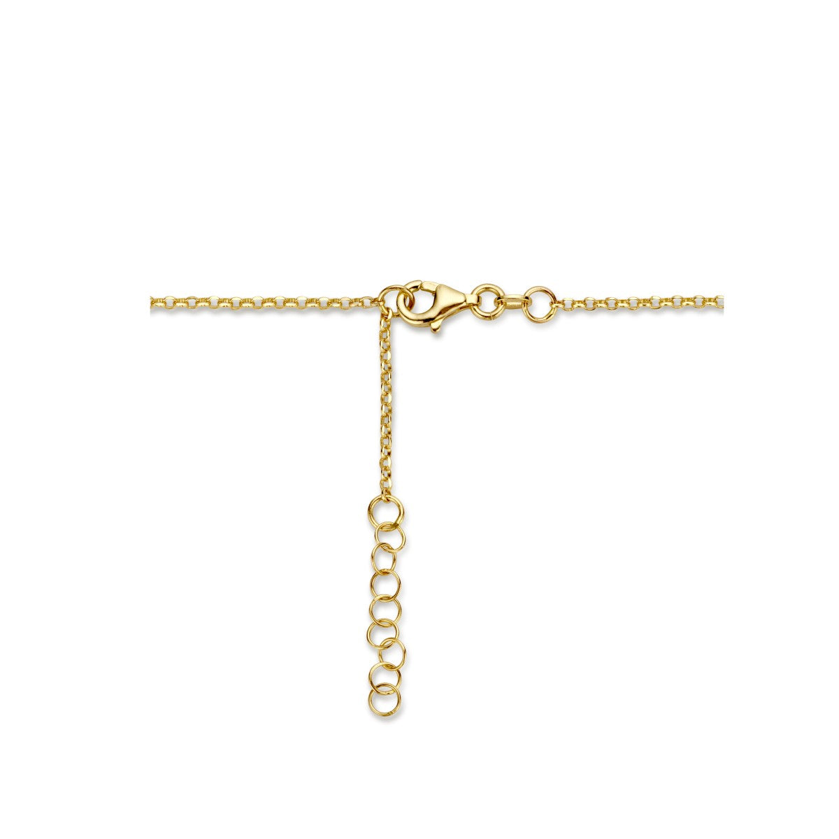 Fantasy Collection Combi-collier jasseron en paperclip 3,5 mm 42 + 2 cm 14K geelgoud