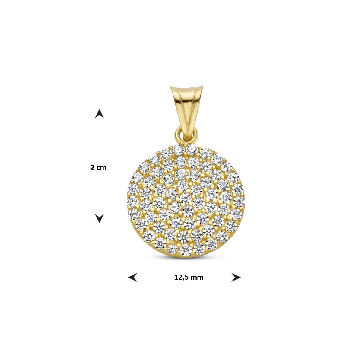 Fantasy Collection Hanger rondje zirkonia 14K geelgoud