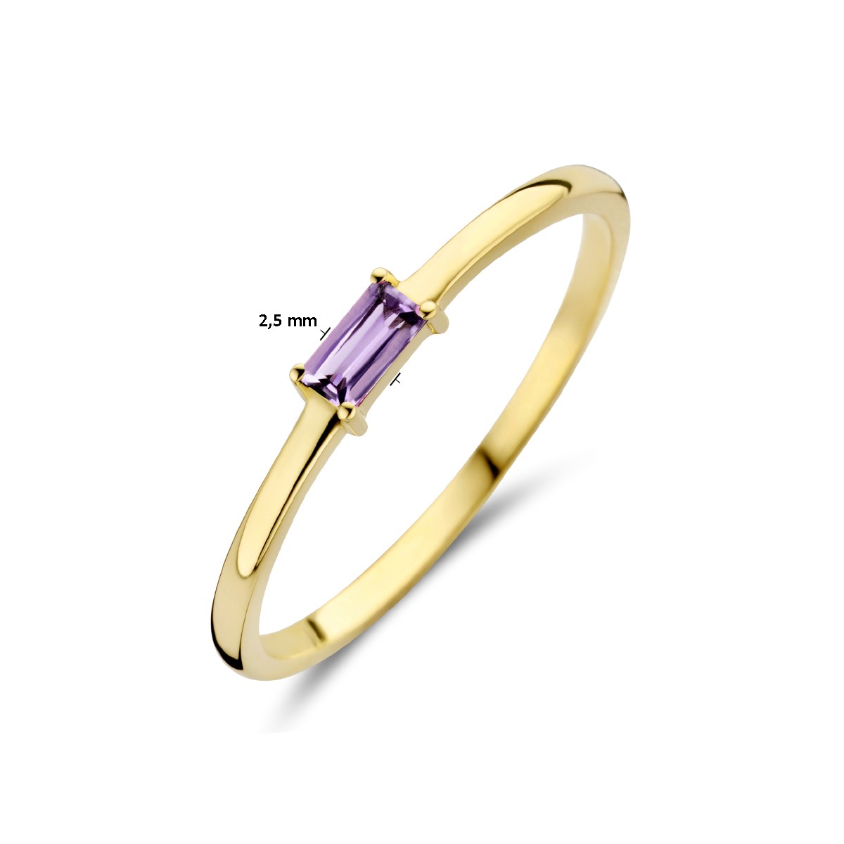 Ring met geboortesteen amethist juni 14K geelgoud