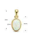 14K Geelgouden Hanger Wit Opaal 14 mm - 4027993 - PansiteNederland.nl