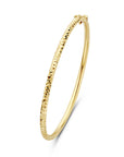 14K Geelgoud Bangle Scharnier Gediamanteerd 3,0 Mm 60 Mm 4028420 - PansiteNederland.nl