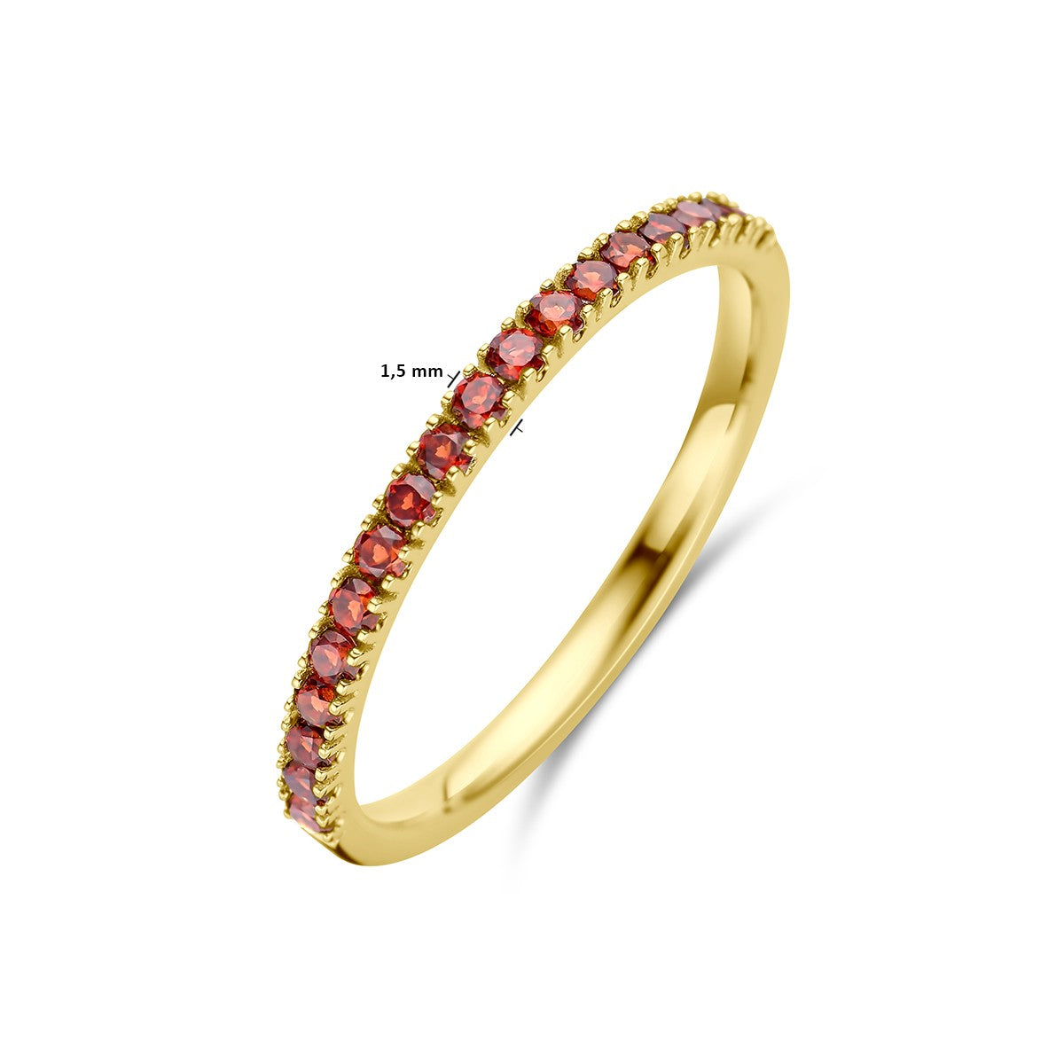 Fantasy Collection Ring met geboortesteen granaat januari 14K geelgoud