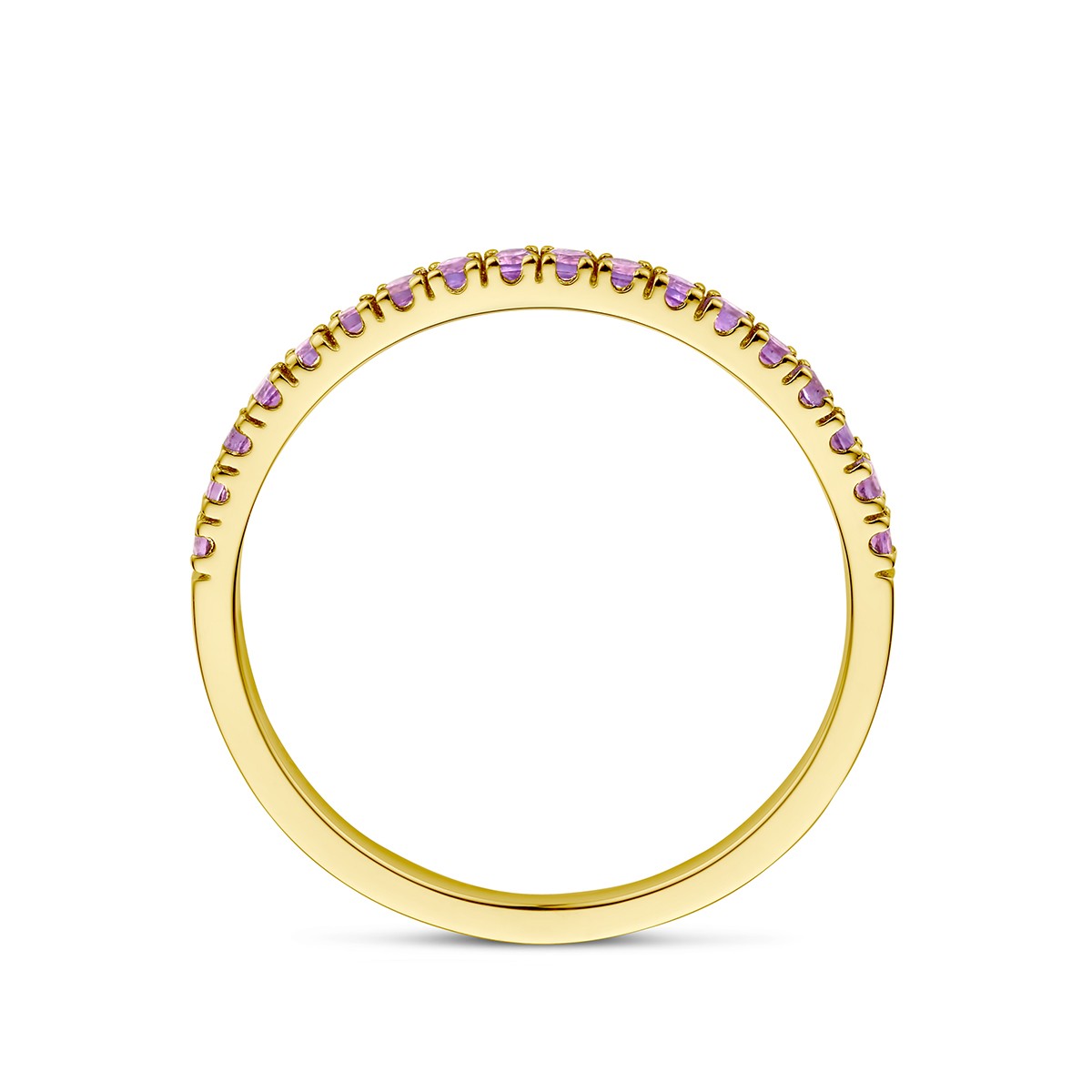 Fantasy Collection Ring met geboortesteen amethist februari 14K geelgoud