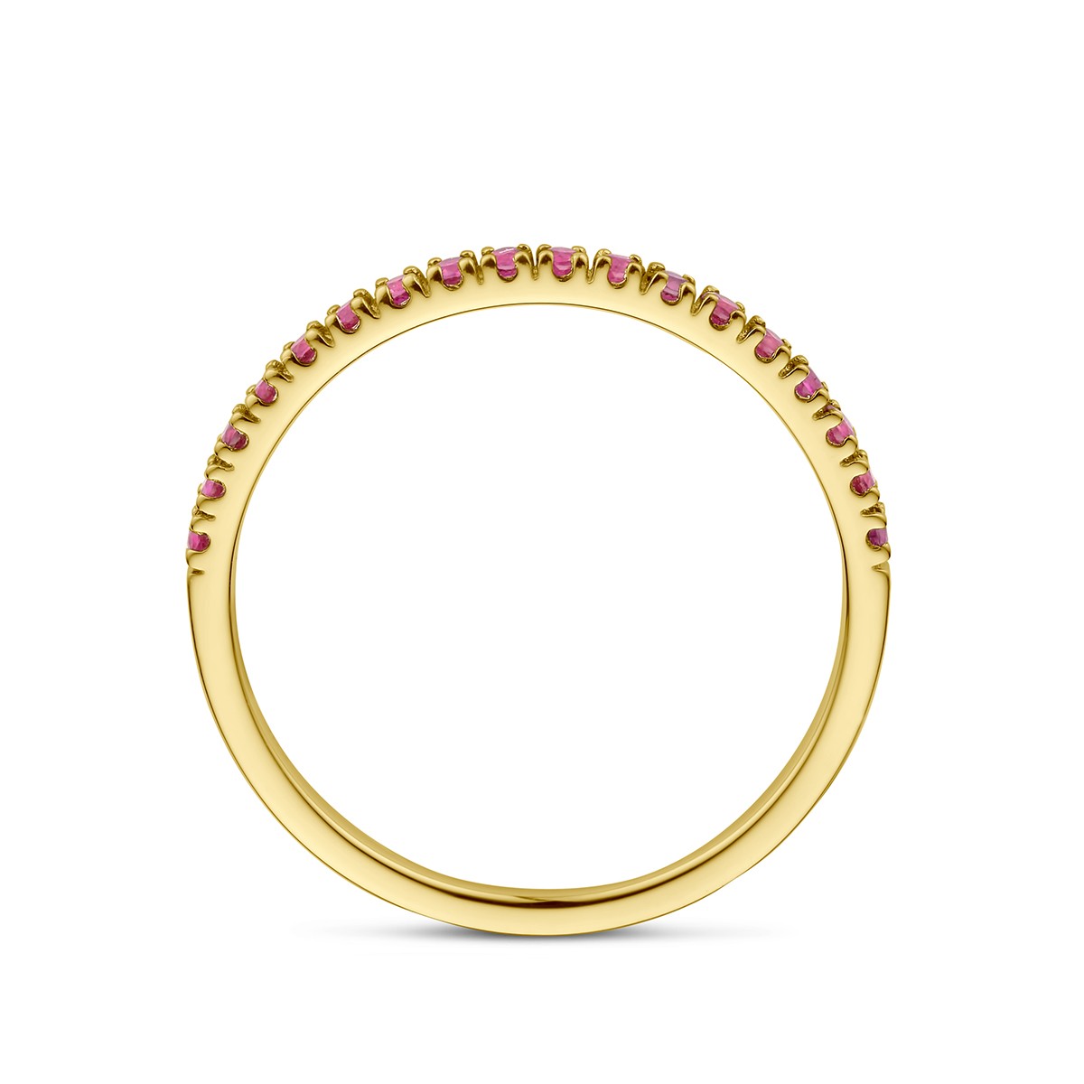 Fantasy Collection Ring met geboortesteen robijn juli 14K geelgoud
