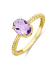 14K Geelgouden ring amethist 4028633, exclusief en kwalitatief hoogwaardig. Ontdek nu!