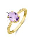 14K Geelgouden ring amethist 4028633 - PansiteNederland.nl