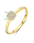 14K Geelgoud Ring Diamant 0.12Ct H Si 4028669 - PansiteNederland.nl