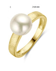 14K Geelgoud Ring Parel Gescratcht 4028700 - PansiteNederland.nl