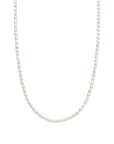 14K geelgoud collier parels 2,8 mm 40 + 5 cm 4028710 - PansiteNederland.nl