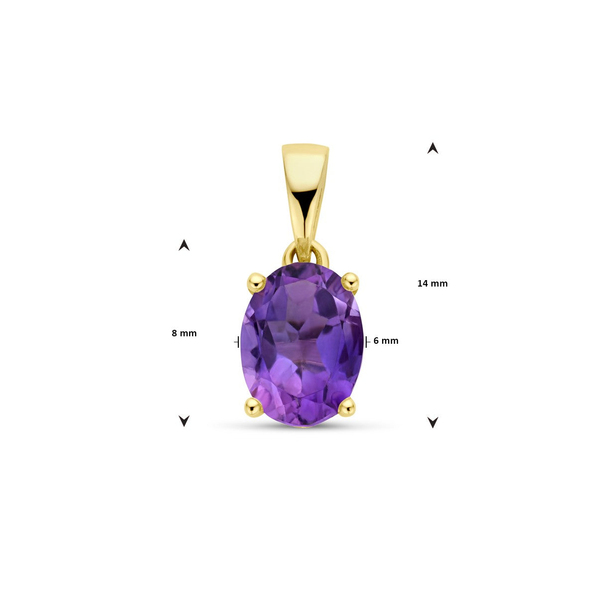 Fantasy Collection Hanger amethist 14K geelgoud