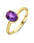 14K Geelgoud Ring Amethist 4028722 - PansiteNederland.nl