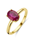 14K Geelgoud Ring Robijn 4028756 - PansiteNederland.nl