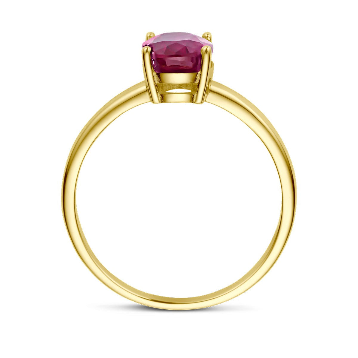 Fantasy Collection Ring robijn 14K geelgoud
