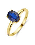 14K Geelgoud Ring Saffier 4028764 - PansiteNederland.nl