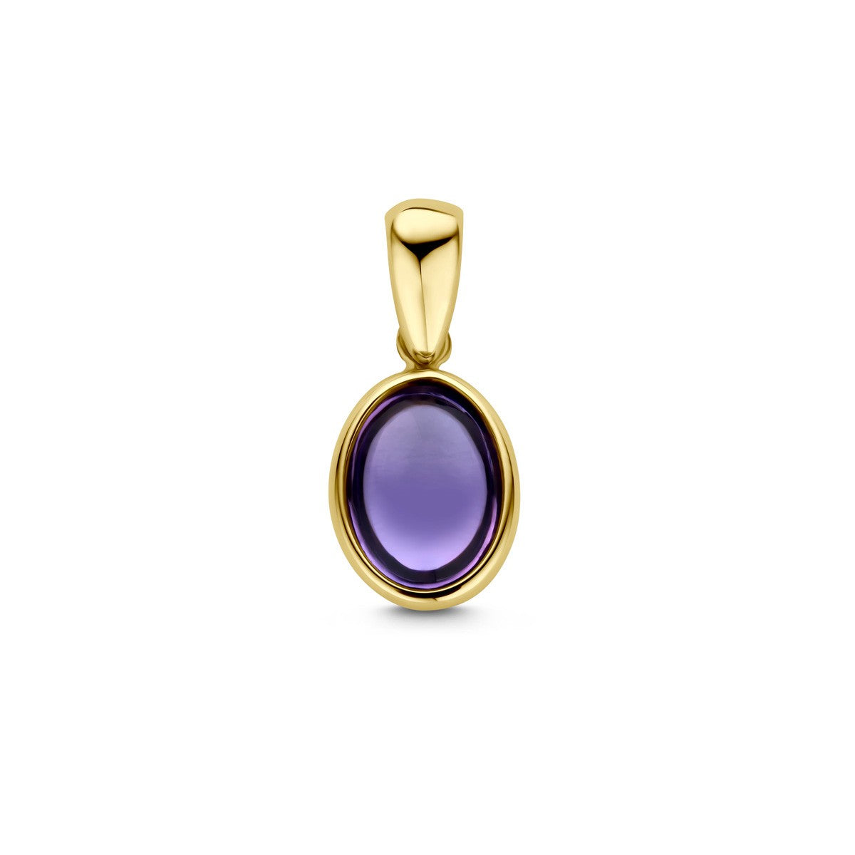 Fantasy Collection Hanger amethist 14K geelgoud